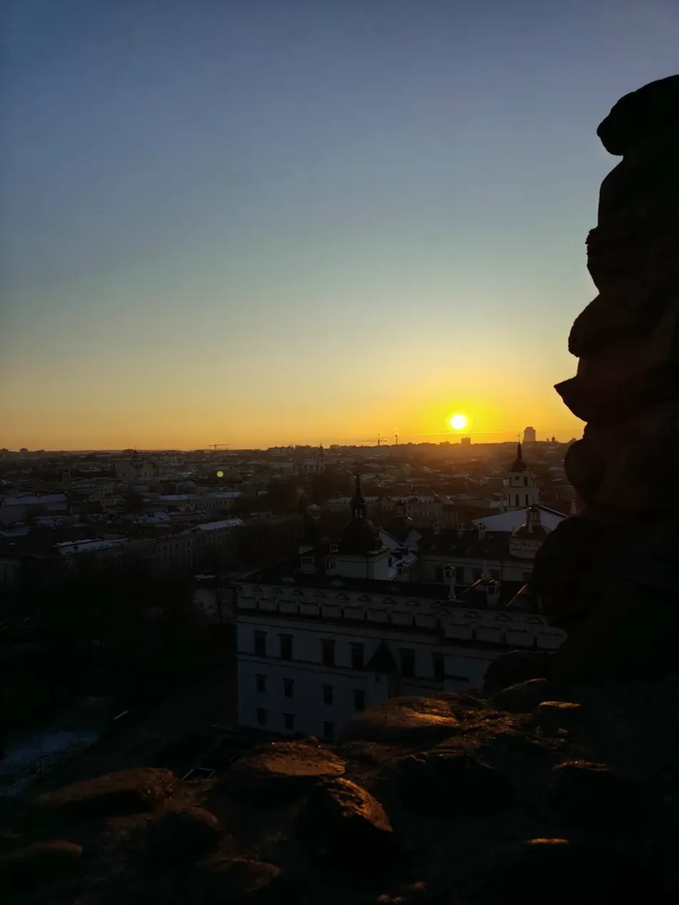 Leonardo silhouette in Vilnius